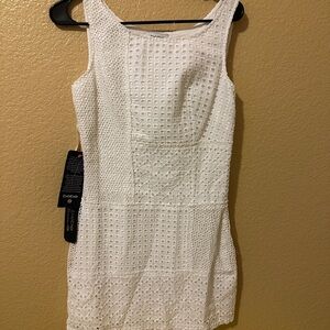 Bebe Ivory Crochet Mini Dress